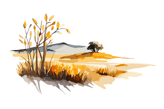 Watercolor golden field with crops on transparent background, PNG. Hand-drawn golden agriculture, cultivation, countryside landscape field for t-shirts, book covers, and print media decorations png