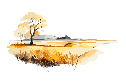 Watercolor golden field with crops on transparent background, PNG. Hand-drawn golden agriculture, cultivation, countryside landscape field for t-shirts, book covers, and print media decorations png