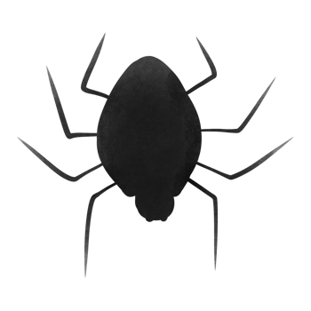 spider on halloween png