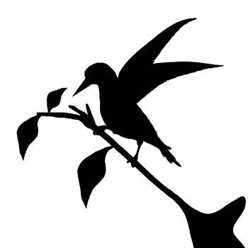 icon of bird png