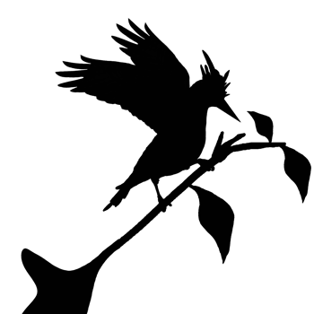 icon of bird png
