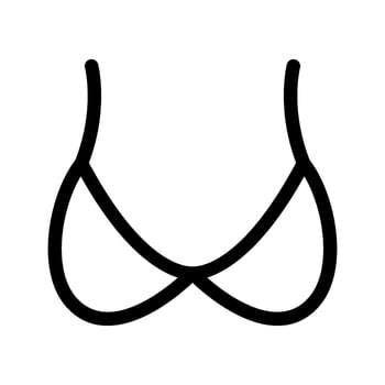 Bra Icon Vector Symbol Design Illustration