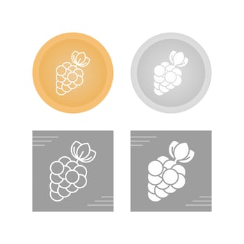 Berries Vector Icon