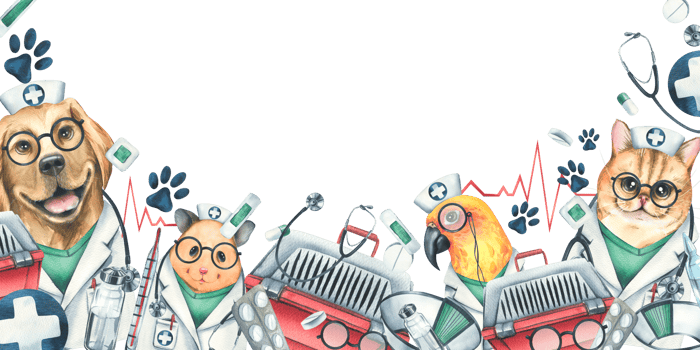 Veterinary doctors hamster, dog, cat, parrot, pet carrier, medicines. Watercolor illustration, hand drawn, for the design of clinics, hospitals, pharmacies. Border template png