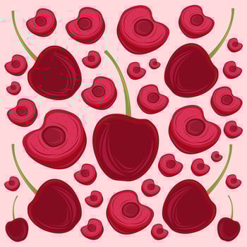 Bing cherry fruit vector illustration for graphic design and decorative element