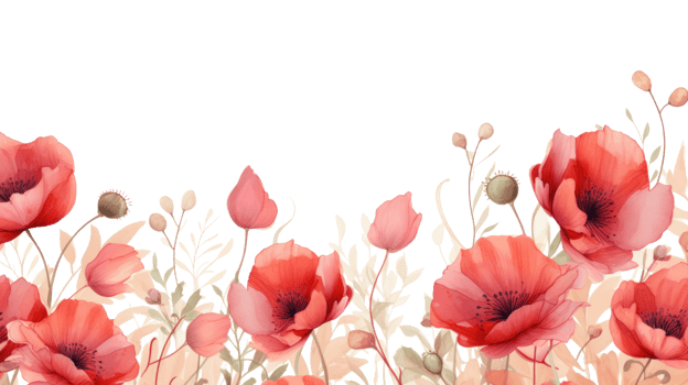 Poppy flowers isolated png