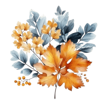 Watercolor colorful autumn bouquet isolated png