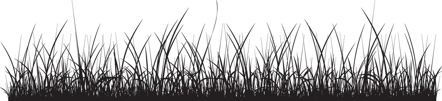 Vector monochrome grass. Curb from the shadows of the floods. Field silhouette