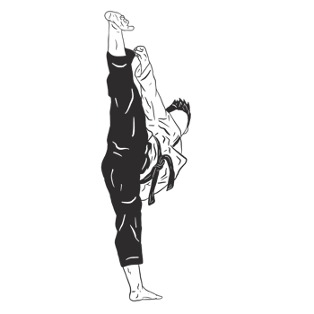 taekwondo fighter illustration png