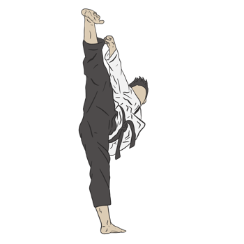 taekwondo fighter illustration png