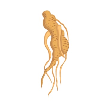 Traditional Ginseng Spices Cartoon Illustration Vector Clipart Sticker