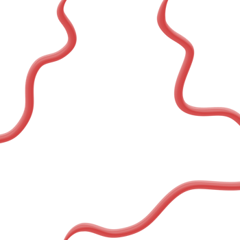 flag ribbon indonesia png