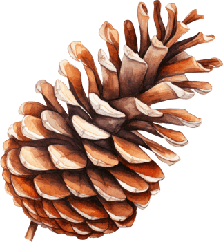 Pinecone watercolor illustration. AI Generated png