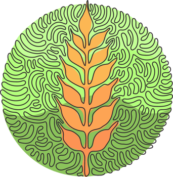 Single continuous line drawing wheat ears icon. Agriculture farm logo. Natural product grain sign. Swirl curl circle style. Dynamic one line draw graphic design illustration png