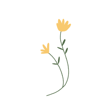 Hand drawn flower floral minimal pastel colour png