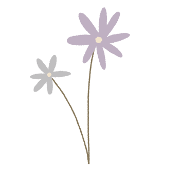 Hand drawn flower floral minimal pastel colour png
