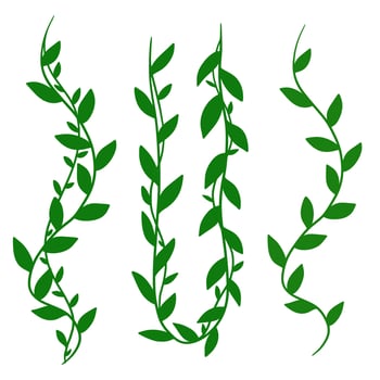 creeping leaves plant decoration vector