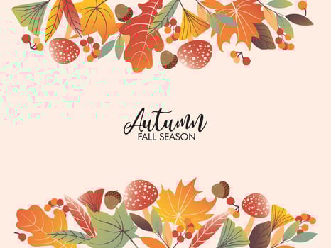 Autumn foliage cover template vector