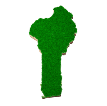 Benin Map soil land geology cross section with green grass and Rock ground texture 3d illustration png