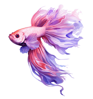 Beautiful siamese fish isolated png