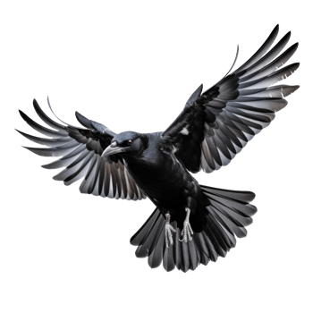 Flying black crow isolated png