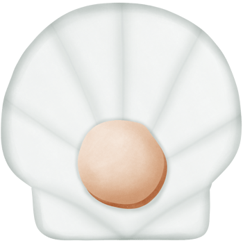 a shellfish isolated on transparent background png