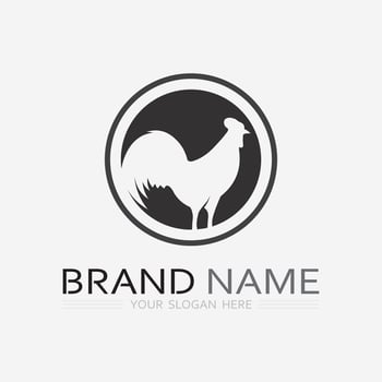 chicken logo  rooster and hen logo for poultry farming  animal logo vector illustration design