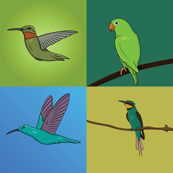 Set of Flying Birds vector illustration.