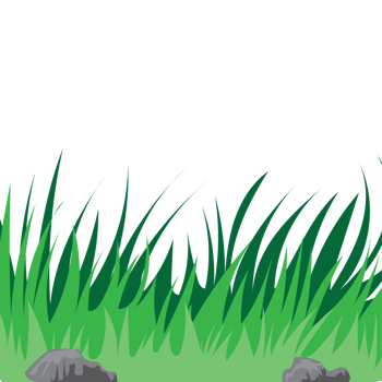 bg-leafs-stone sky clod green forest wallpaper blue photo tree png