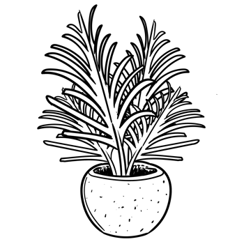 decoration decorative design different drawn eco elegance art png