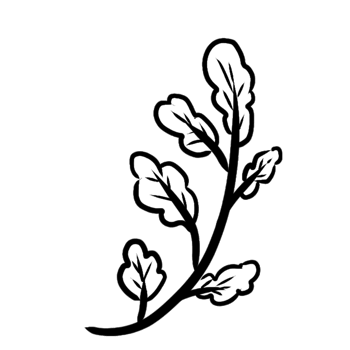 decoration decorative design different drawn eco elegance art png