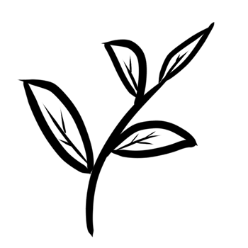decoration decorative design different drawn eco elegance art png
