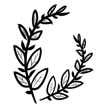 decoration decorative design different drawn eco elegance art png