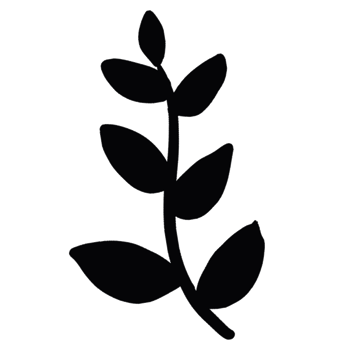 decoration decorative design different drawn eco elegance art png