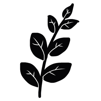 decoration decorative design different drawn eco elegance art png