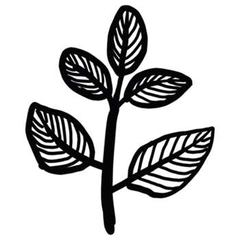 decoration decorative design different drawn eco elegance art png