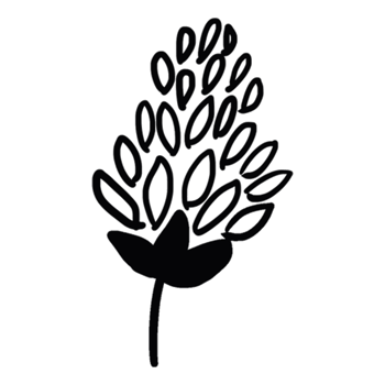 decoration decorative design different drawn eco elegance art png