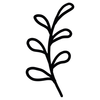 decoration decorative design different drawn eco elegance art png