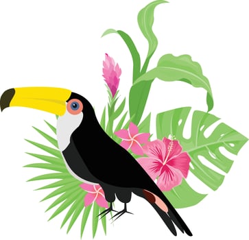 Summer design with tropical leaves decoration vector