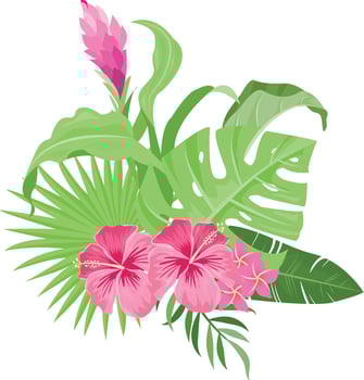 Summer design with tropical leaves decoration vector