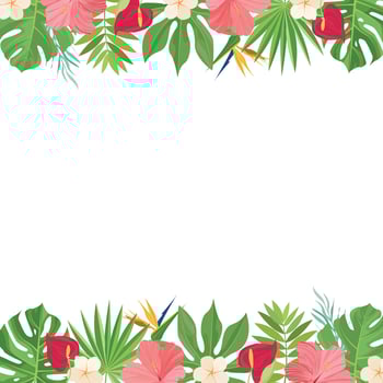 summer border design with tropical leaves decoration vector