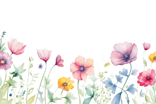 Watercolor floral border png