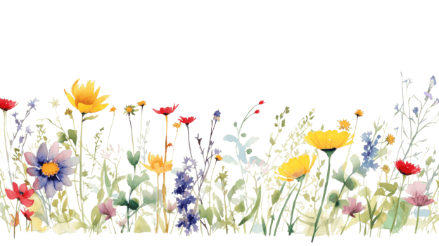 Watercolor floral border png