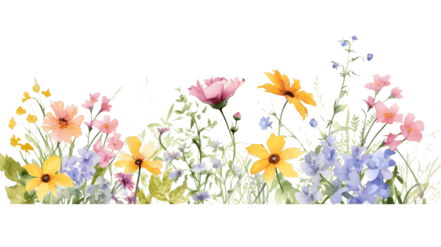 Watercolor floral border png