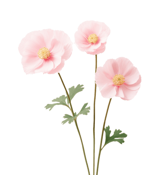 Cute pink flowers isolated png