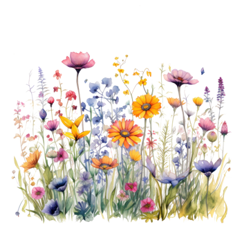 Colorful watercolor spring flowers bouquet png