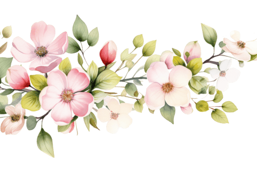 Watercolor floral border png