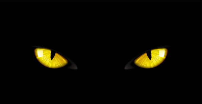 Black panther eyes background wild cat animal face vector