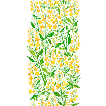 Rapeseed oil border. Floral seamless strip. Vector
