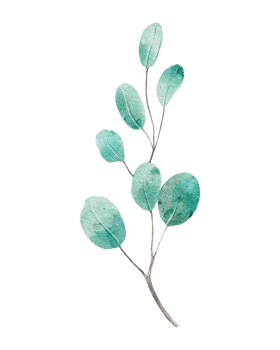 Watercolor branch with leaves png